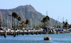 Waikiki Boat Harbor shot last Thursday. by Glenn Poulain 